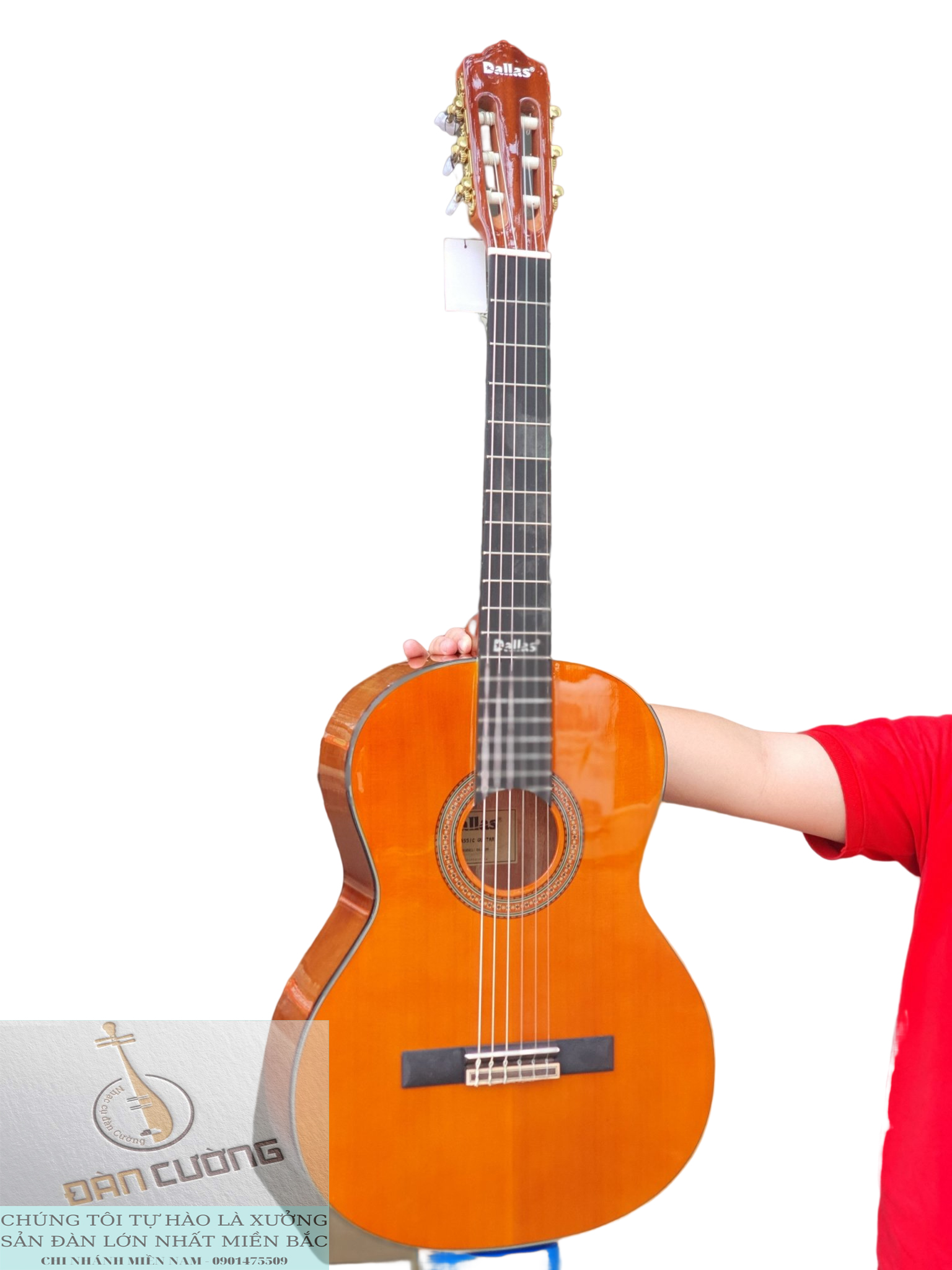 Đàn Guitar Classic Dallas DL-Q39 Cao Cấp Chính Hãng